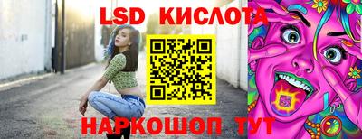 индика Новозыбков