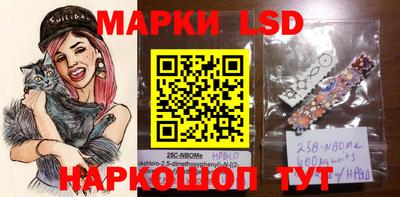 спиды Новодвинск