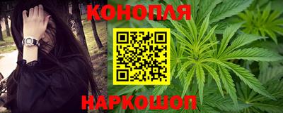 спиды Новодвинск