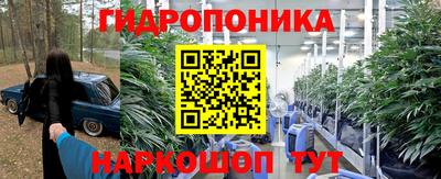 индика Новозыбков