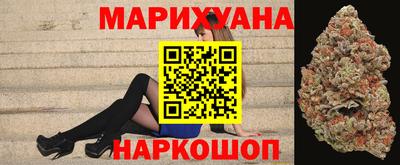 индика Новозыбков