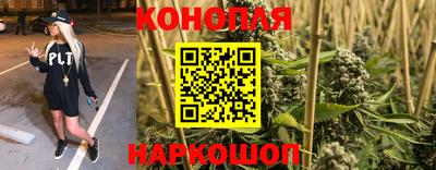 индика Новозыбков