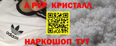 индика Новозыбков