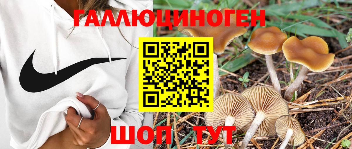 Псилоцибиновые грибы мухоморы  Псилоцибиновые грибы мицелий  Анапа  Вход с VPN 
