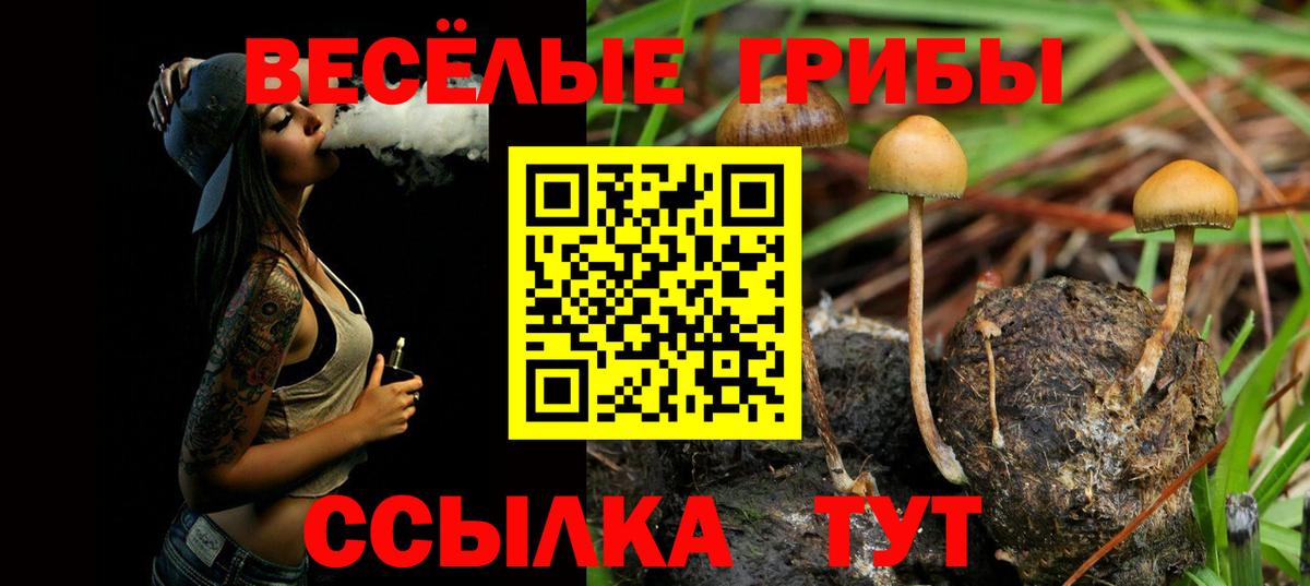 Псилоцибиновые грибы GOLDEN TEACHER Анапа